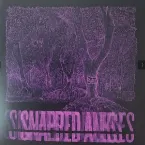 Pochette Forest Of Your Problems (Parasite Sessions)