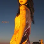 Pochette Phoenix