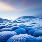 Pochette Boards of Canada