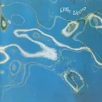 Pochette Turquoise Fields