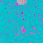 Pochette はじめましての気持ちを