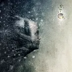 Pochette This Is the Warning