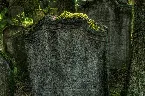 Pochette In This Hedonistic Society, Where Everything Precious and Shallow Alike Is Readily-Won-And-Readily-Lost, the Natural Habitat for Saints Is the Graveyard