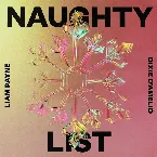 Pochette Naughty List
