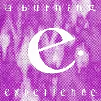 Pochette A Burning Experience