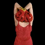 Pochette Thirty-One: 31 Songs in 31 Days, January 2009