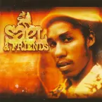 Pochette Sael & Friends