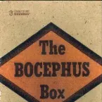 Pochette The Bocephus Box: The Hank Williams Jr. Collection 1979-1999
