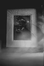 Pochette Beauty in Irrepressible Melancholy