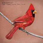 Pochette Old Crows / Young Cardinals