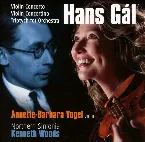 Pochette Violin Concerto / Violin Concertino / Triptych for Orchestra