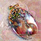Pochette 222: What Strikes the Oyster Shell Does Not Damage the Pearl