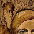 Pochette The New Joys