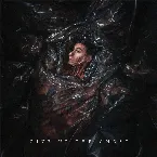 Pochette Give Up The Ghost