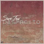 Pochette Despacito