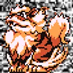 Pochette #059 ~ Arcanine