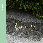 Pochette Luv U (re:cord)