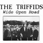 Pochette Wide Open Road