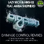 Pochette Damage Control Remixes