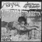 Pochette Splitted Up for Better Digestion!