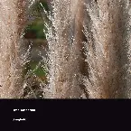 Pochette Sbagliato (demo)