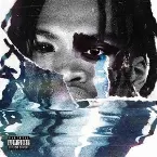 Pochette FRIEND OR FOUX