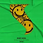 Pochette In My Soul