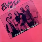 Pochette Do You Love What You Feel