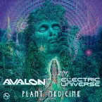 Pochette Plant Medicine