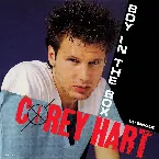 Pochette Boy in the Box