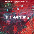 Pochette The Wanting
