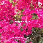 Pochette Bougainvillea.