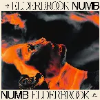 Pochette Numb