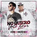 Pochette No quiero verte llorar
