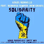 Pochette Solidarity (Gogol Bordello’s “Unity” mix)