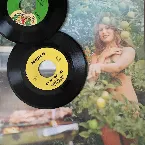 Pochette Bitter Sweet Soul Symphony