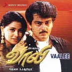 Pochette Vaali