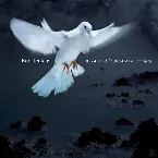Pochette The Armed Man: A Mass for Peace