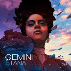 Pochette Gemini