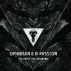 Pochette The Expected Unknown