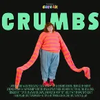 Pochette crumbs