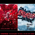 Pochette Pleasure to Kill / Flag of Hate