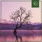Pochette Morning Dew