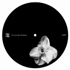 Pochette Ardent / Swallows