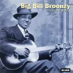 Pochette The Southern Blues