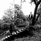 Pochette Timber Timbre