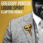 Pochette Liquid Spirit (Claptone remix)