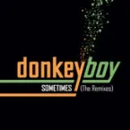 Pochette Sometimes (The Remixes)