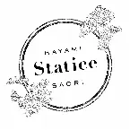 Pochette Statice