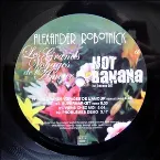 Pochette Les Grands Voyages de l'amour